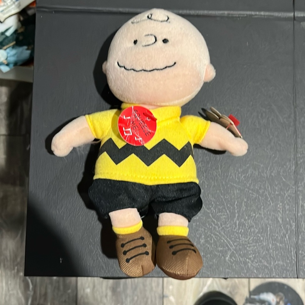 1 Charlie Brown. TY beanie baby with tags. Yes. 🙏